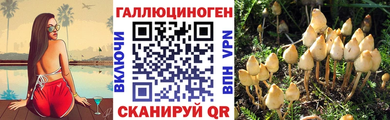 Галлюциногенные грибы MAGIC MUSHROOMS  Монино 