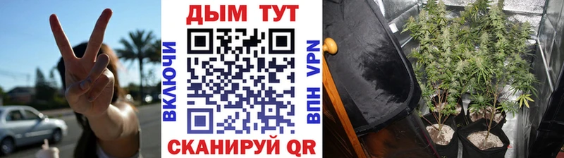 Бошки марихуана конопля  где купить наркотик  Монино 